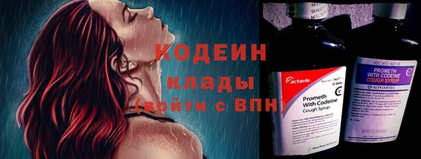 молекула духа Алзамай