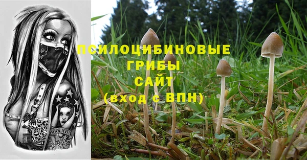 молекула духа Алзамай