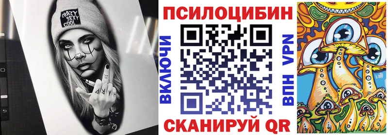 omg онион  Любим  Галлюциногенные грибы ЛСД 