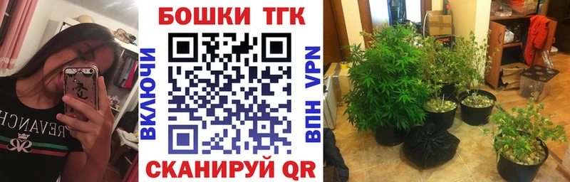 Шишки марихуана индика  купить наркотики цена  мориарти телеграм  Любим 